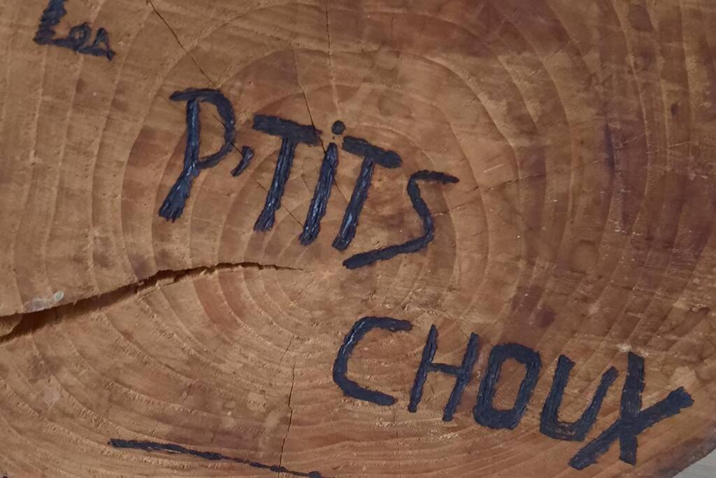 Gite Les Ptits Choux Saint-Quentin-Lamotte-Croix-au-Bailly ภายนอก รูปภาพ